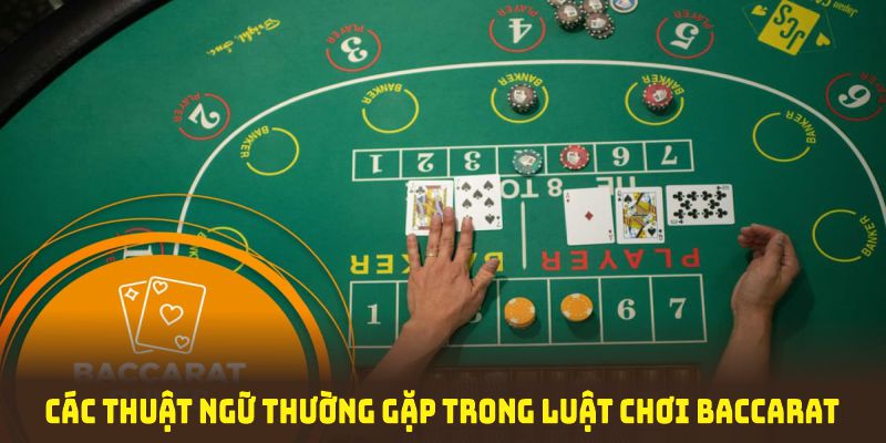 Bổ sung kiến thức về luật chơi baccarat qua các thuật ngữ thường gặp