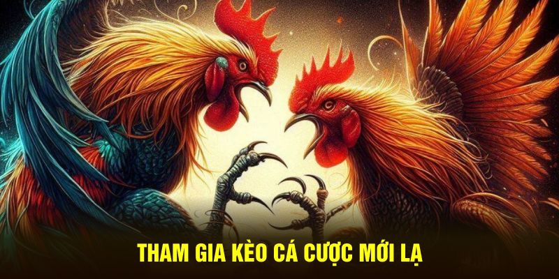 Giải đáp câu hỏi đá gà C1 là ở đâu?