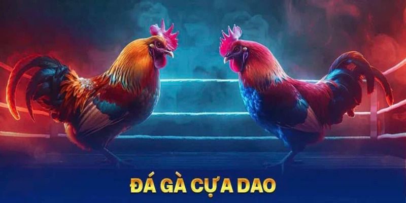 Đá gà cựa dao cùng nhà cái 23win