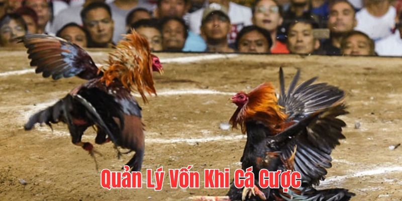 Quản lý vốn khi tham gia cược để đạt hiệu quả như ý