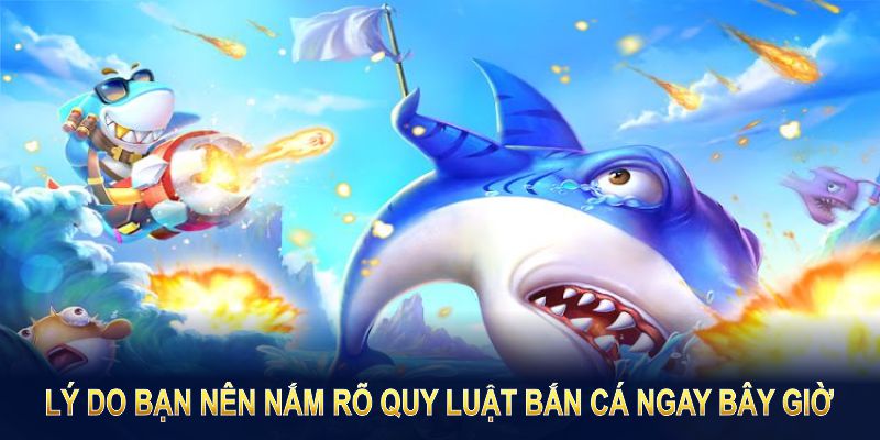 Lý do bạn nên nắm rõ quy luật bắn cá ngay bây giờ