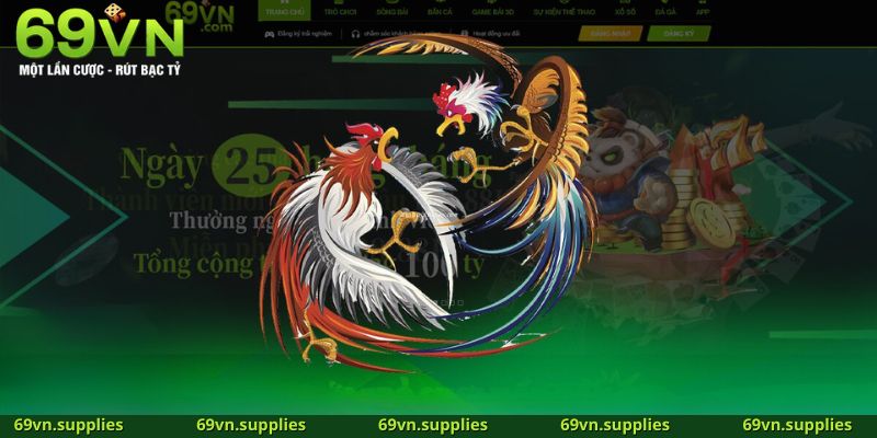 Tổng hợp hình thức đá gà 69VN thịnh hành 