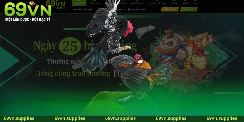 Tổng quan về nền tảng cá cược đá gà trực tuyến tại 69VN